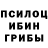 Псилоцибиновые грибы MAGIC MUSHROOMS Wiwka Wiwka