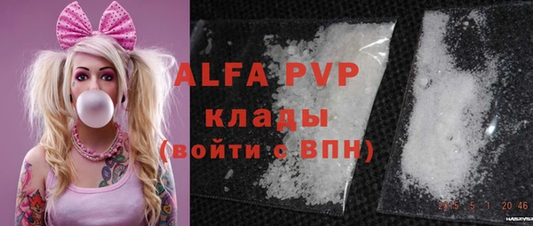 гашик Алексин