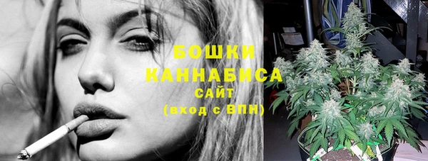 шишки Алексеевка