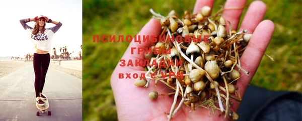 а пвп мука Абаза