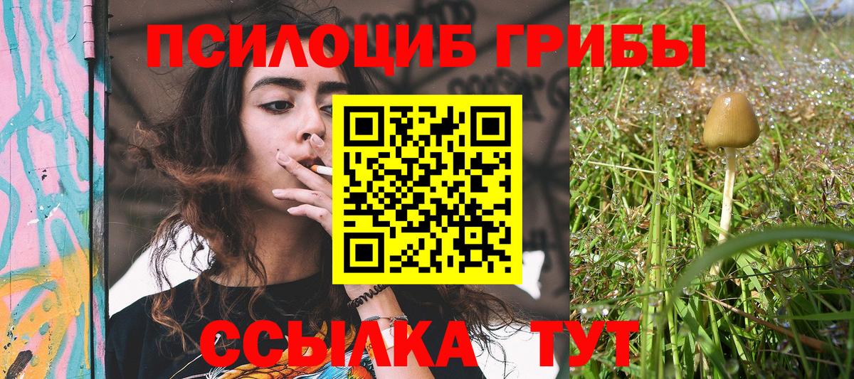 Псилоцибиновые грибы мухоморы Полысаево