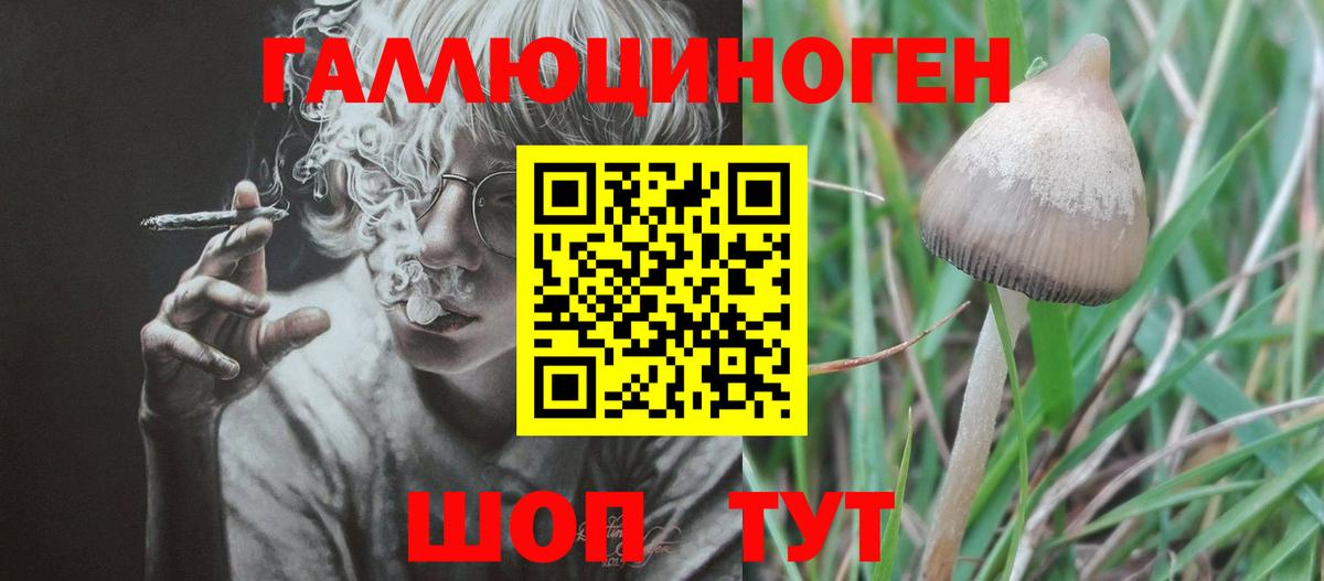 Галлюциногенные грибы мицелий  Галлюциногенные грибы Magic Shrooms  Полысаево  Вход с VPN 